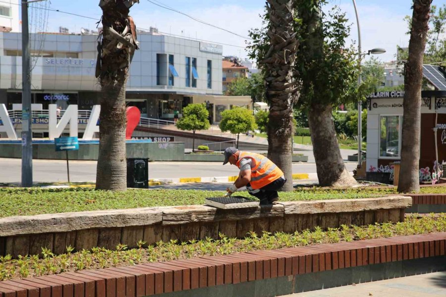 Antalya Bu Yaz Çiçek Bahçesine Dönecek