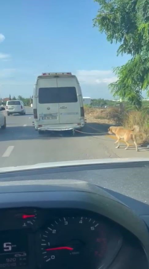 Minibüsün Arkasına Bağladığı Köpeği Zorla Götürdü