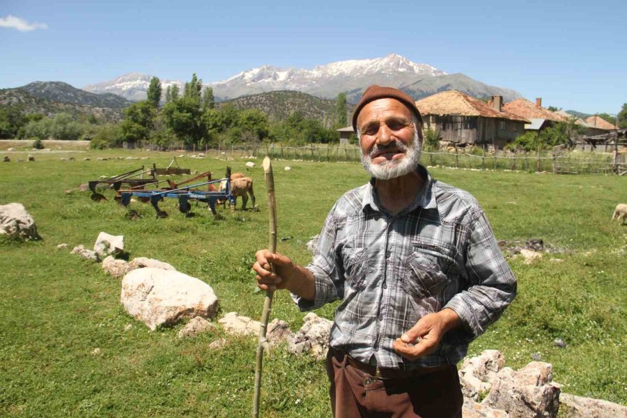 Karadeniz Havasının Yaşandığı Konya’da Besiciler Yağışlardan Memnun