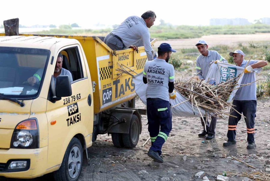 Mersin’de Caretta Carettaların Üreme Alanı Sahiller Temizleniyor