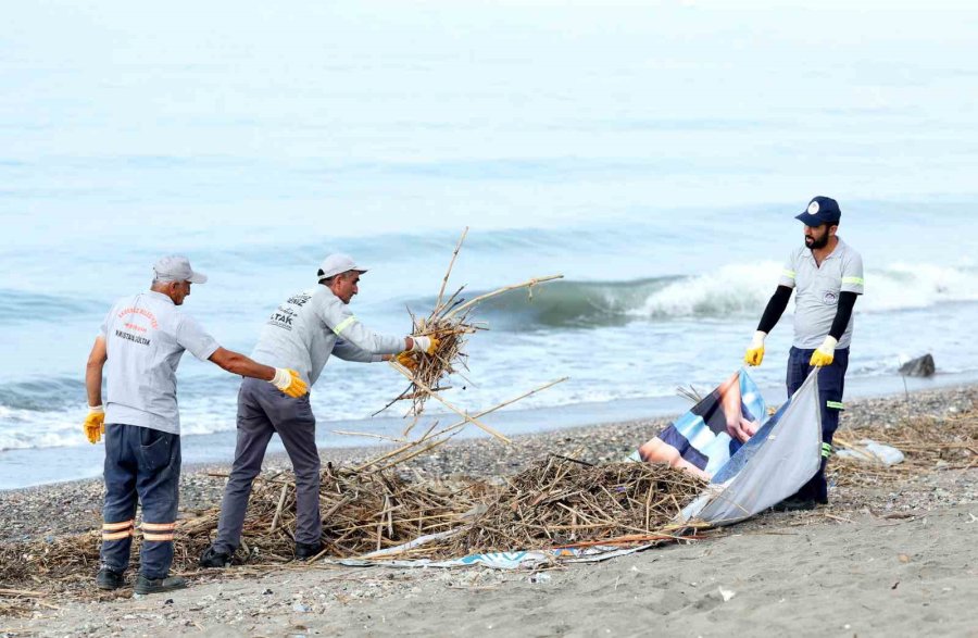 Mersin’de Caretta Carettaların Üreme Alanı Sahiller Temizleniyor