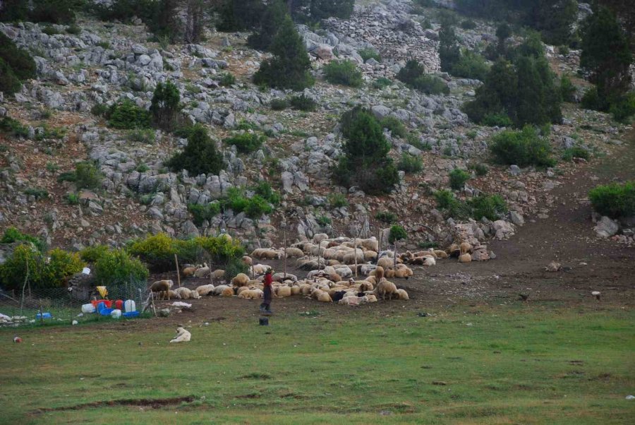 Antalya’da Yörükler Yaylalara Yerleşmeye Başladı