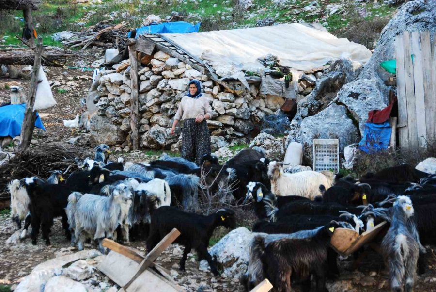 Antalya’da Yörükler Yaylalara Yerleşmeye Başladı