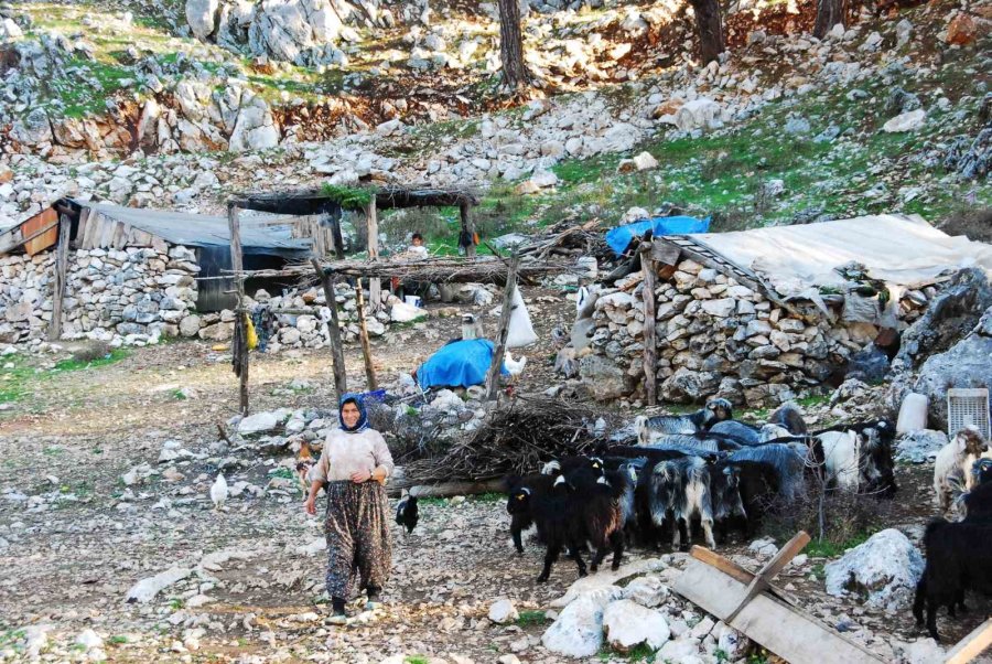 Antalya’da Yörükler Yaylalara Yerleşmeye Başladı