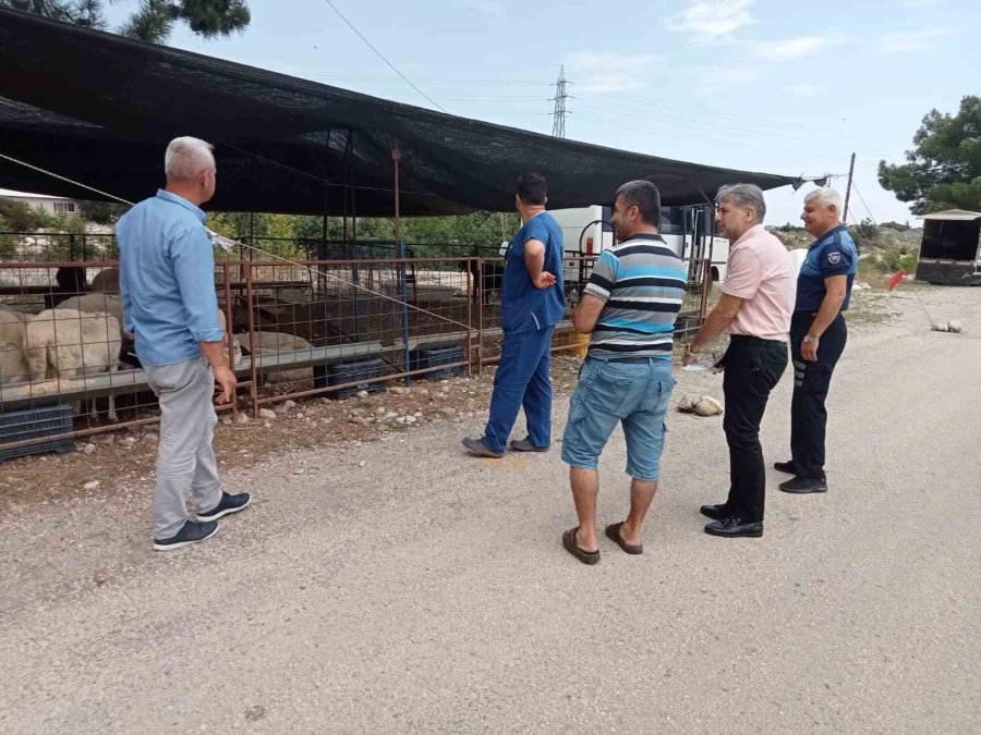 Kurban Satış Yerlerinde Denetim