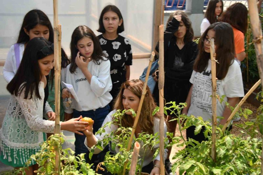 Yenişehir’de Ata Tohumları Çocuklara Emanet