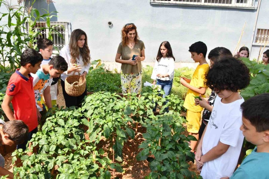 Yenişehir’de Ata Tohumları Çocuklara Emanet