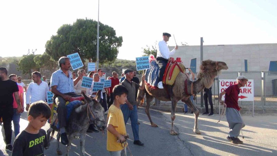 Yörükler Deve Üzerinde Silifke’nin İl Olma İsteğini Davul Ve Zurna İle Duyurdu