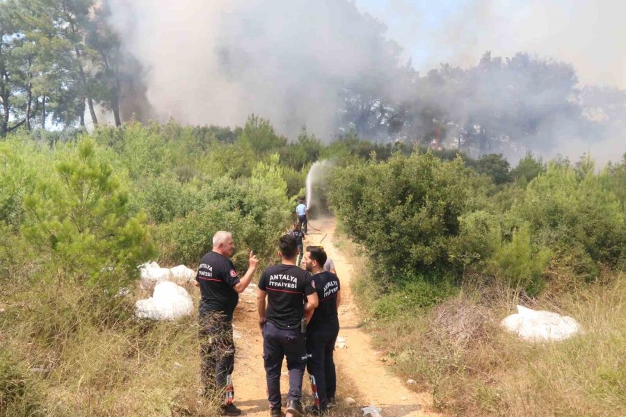 Antalya’daki Orman Yangını 1 Saatte Kontrol Altına Alındı