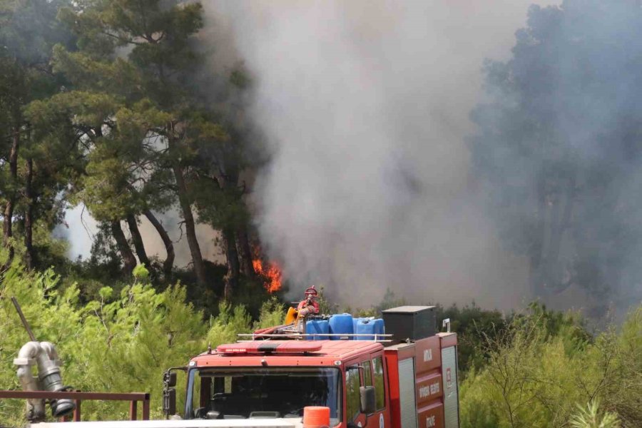 Antalya’daki Orman Yangını 1 Saatte Kontrol Altına Alındı