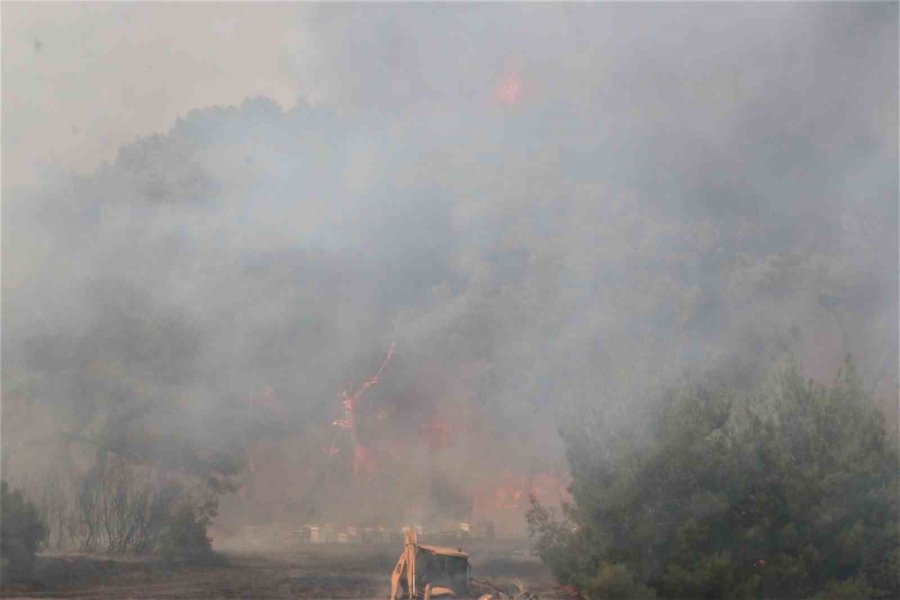 Antalya’daki Orman Yangını 1 Saatte Kontrol Altına Alındı