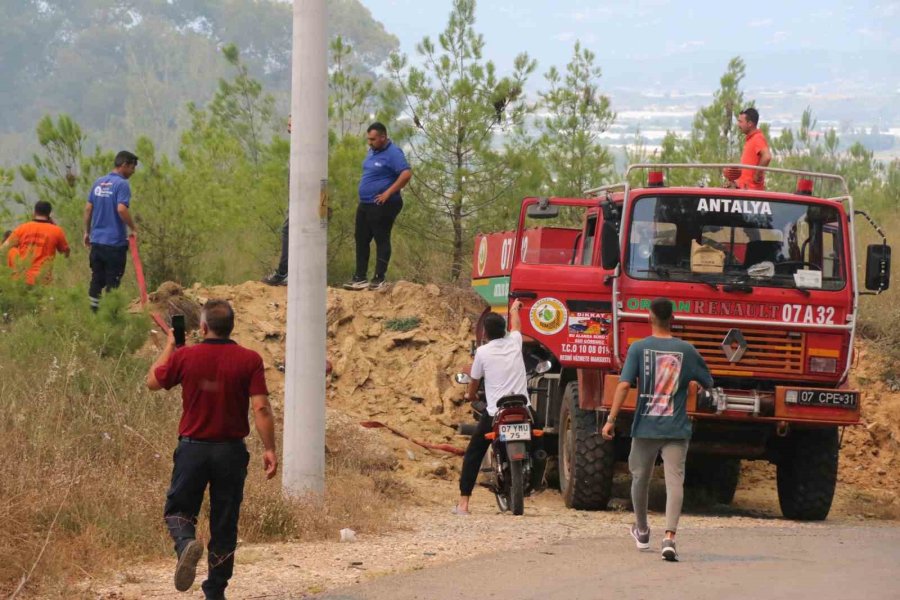 Antalya’daki Orman Yangını 1 Saatte Kontrol Altına Alındı