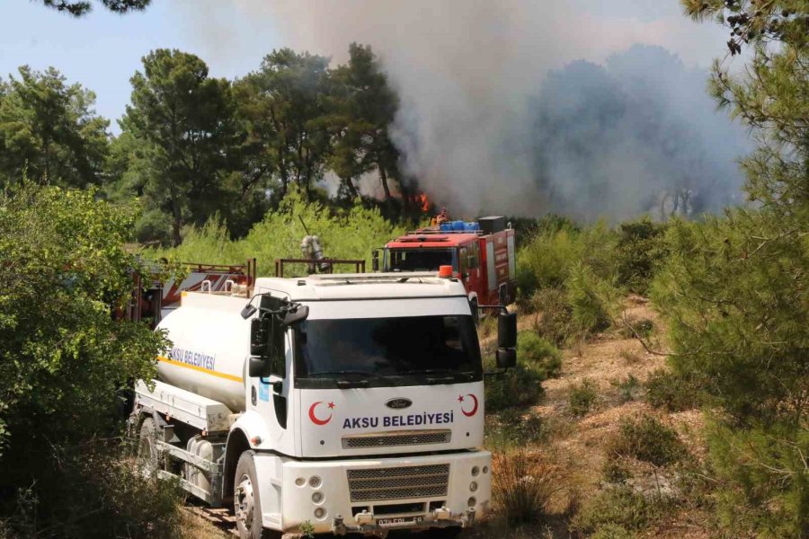 Antalya’daki Orman Yangını 1 Saatte Kontrol Altına Alındı