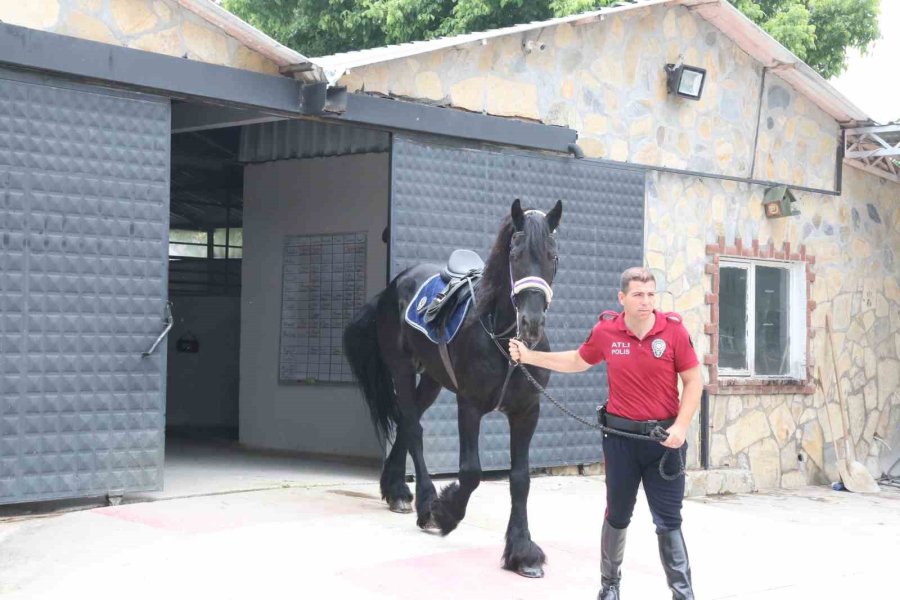 Konyaaltı Sahilinin Güvenliği Börü Ve Winner’e Emanet