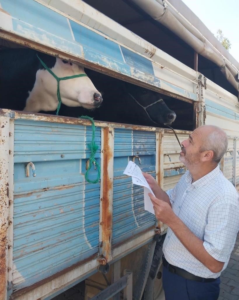 Bayram Öncesi Hayvanlarda Aşı Çalışması Ve Yol Kontrolü