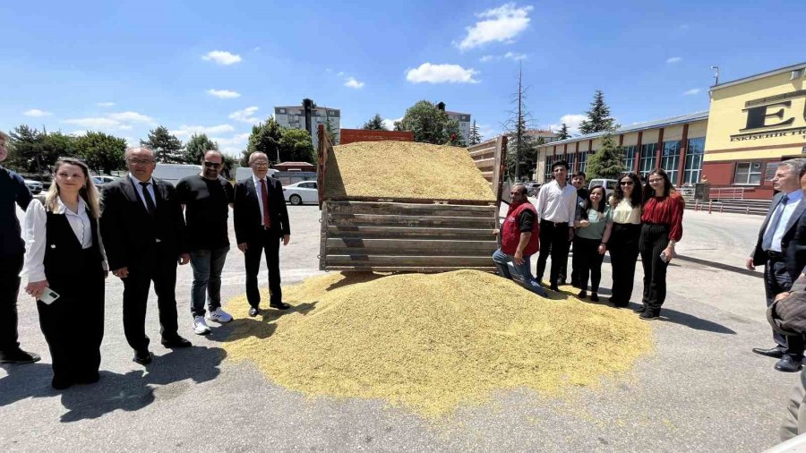 Eskişehir’de İlk Mahsul Açık Arttırmayla Rekor Fiyata Satıldı