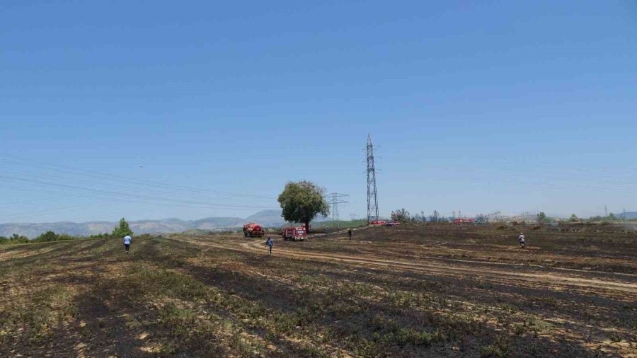 Anızdan Başlayan Yangın Ormana Sıçradı, 2 Dönüm Kızılçam Ormanı Yandı