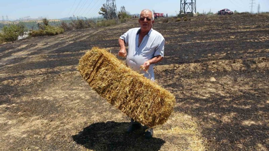 Anızdan Başlayan Yangın Ormana Sıçradı, 2 Dönüm Kızılçam Ormanı Yandı