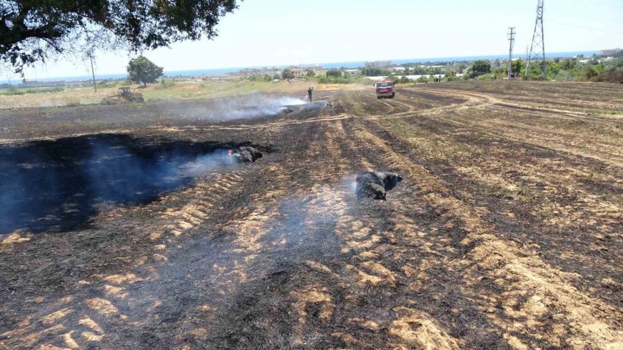 Anızdan Başlayan Yangın Ormana Sıçradı, 2 Dönüm Kızılçam Ormanı Yandı