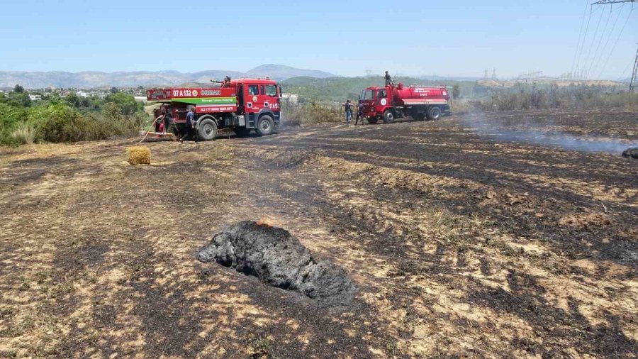 Anızdan Başlayan Yangın Ormana Sıçradı, 2 Dönüm Kızılçam Ormanı Yandı