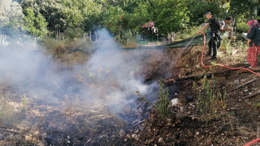 Yılandan Korkup Ormanı Yakıyordu