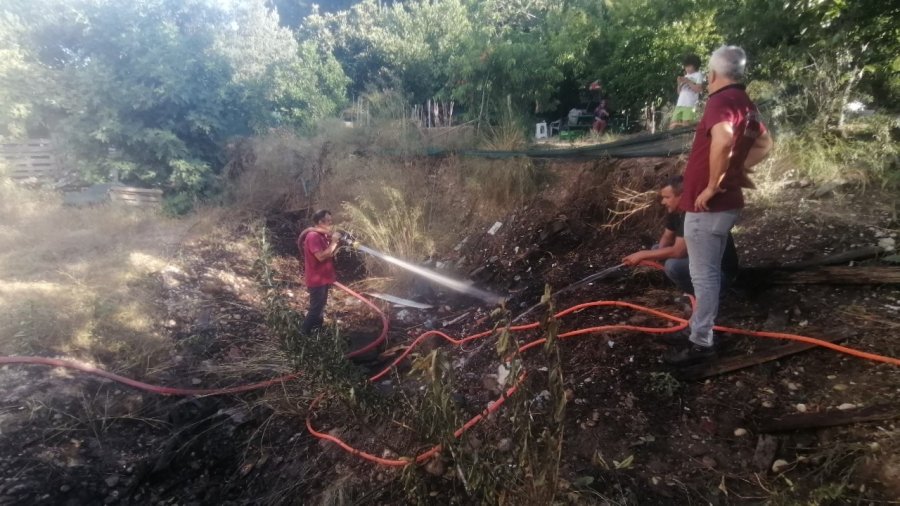 Yılandan Korkup Ormanı Yakıyordu