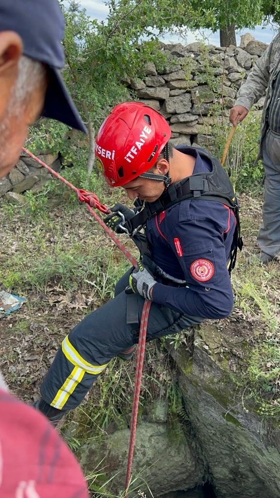 Büyükşehir İtfaiyesi, Kuyuya Düşen Büyükbaş Hayvanı 2 Saatlik Çalışmayla Kurtardı