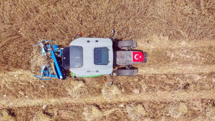 Örnek Projeyle Atıl Araziler Üretime Kazandırıldı, İlk Hasat Yapıldı