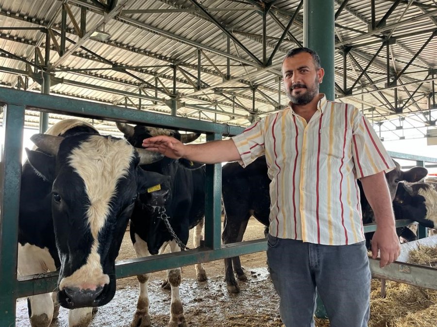 Eskişehir’de Kurbanlık Satıcısı Çifte Bayram Yapıyor