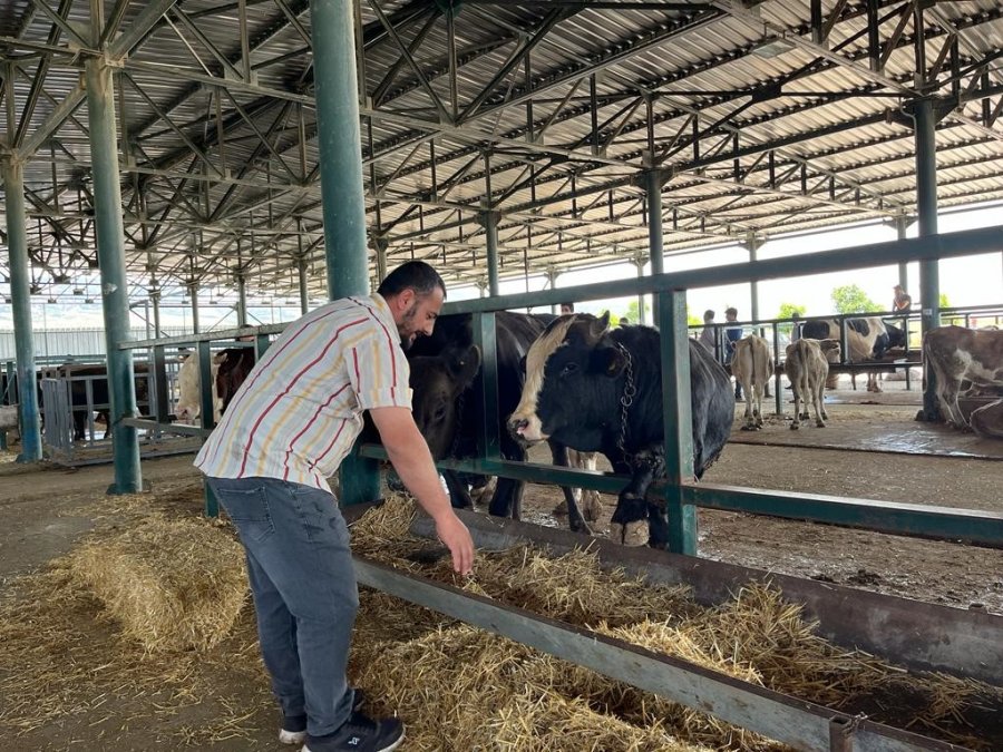 Eskişehir’de Kurbanlık Satıcısı Çifte Bayram Yapıyor