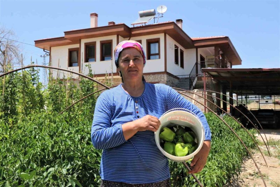 Tarihi Manavgat Yangınında Küle Dönen Mahallede Yeni Evlerde İlk Kurban Bayramı Heyecanı