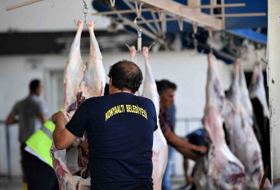 Konyaaltı Belediyesi Vatandaşlara Ücretsiz Kurban Kesimi Hizmeti Verdi