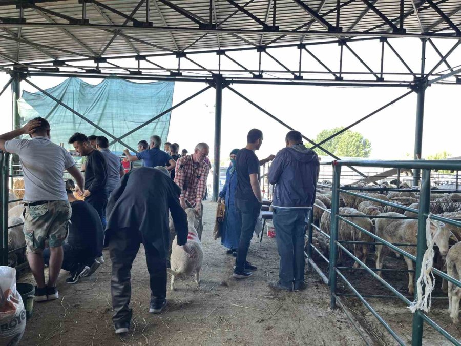 Bayramın Birinci Günü Kurban Pazarında Yoğunluk Yaşanıyor