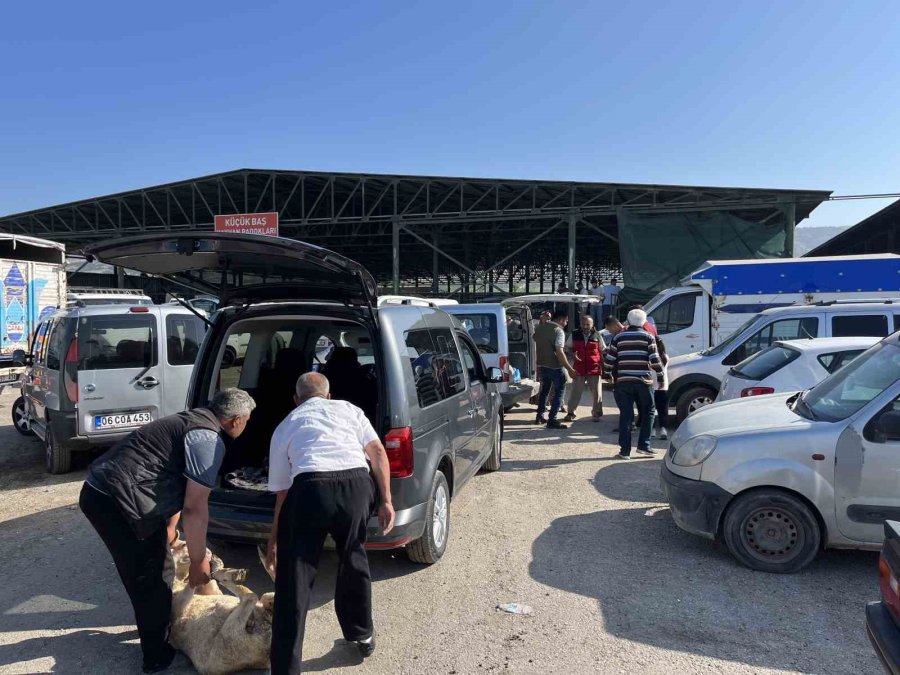 Bayramın Birinci Günü Kurban Pazarında Yoğunluk Yaşanıyor