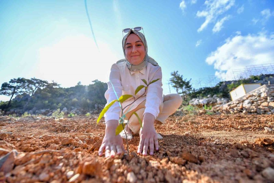 Mersin’de Üreticilere Passiflora Fidesi Desteği