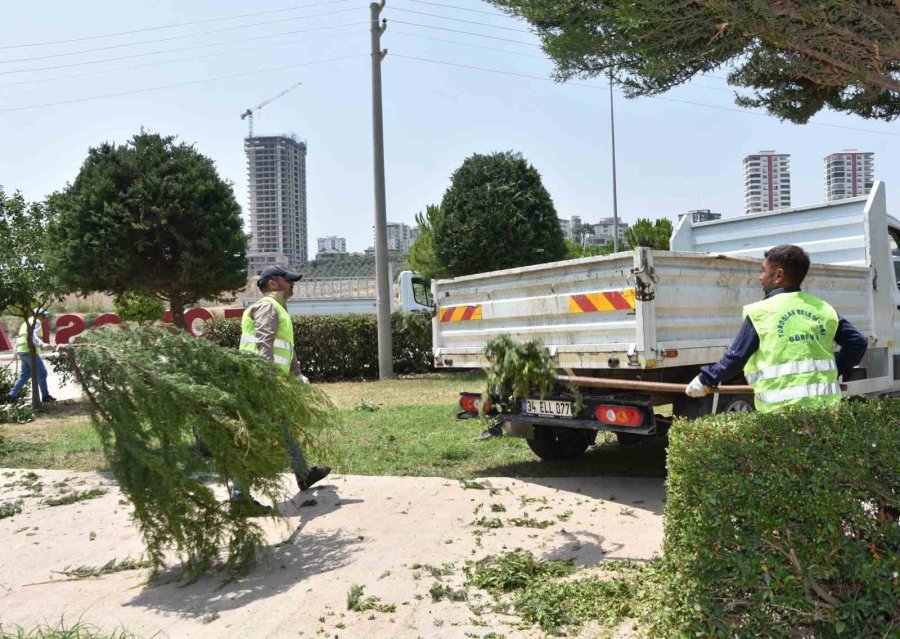 Toroslar’da Park Ve Yeşil Alanlar Bakımdan Geçiyor