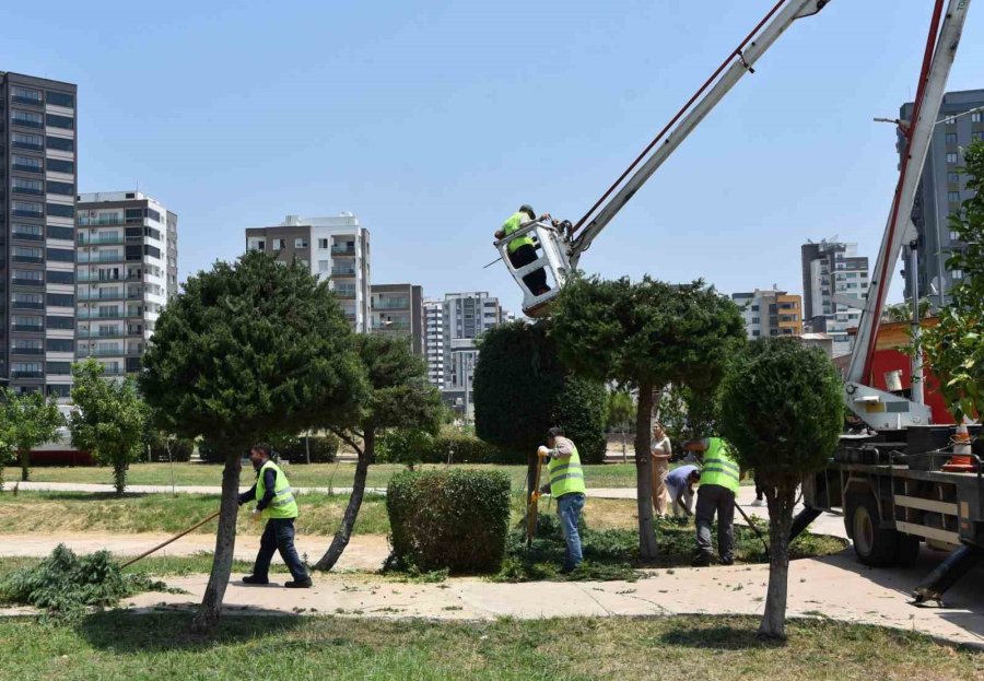 Toroslar’da Park Ve Yeşil Alanlar Bakımdan Geçiyor