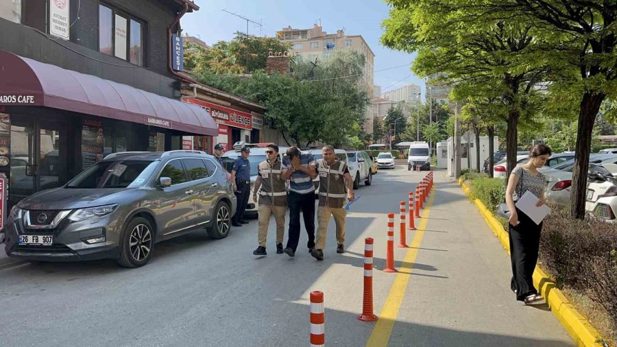 Minibüsün Arkasına At Bağlayan Sürücü Adliyeye Sevk Edildi