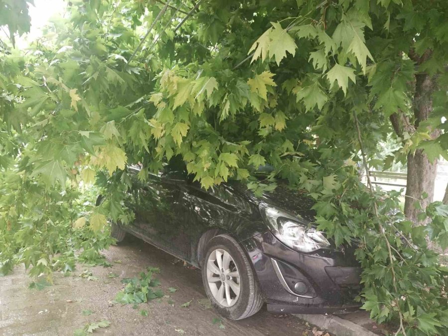 Yıldırım Elektrik Trafosuna Zarar Verdi, Kopan Ağaç Dalı Otomobilin Üzerine Düştü