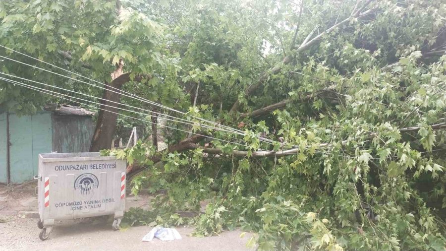 Yıldırım Elektrik Trafosuna Zarar Verdi, Kopan Ağaç Dalı Otomobilin Üzerine Düştü