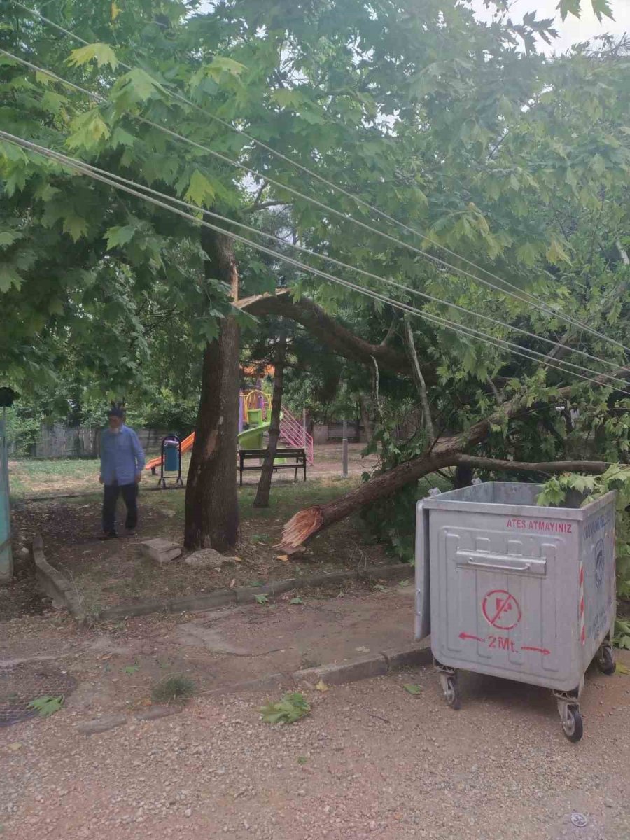 Yıldırım Elektrik Trafosuna Zarar Verdi, Kopan Ağaç Dalı Otomobilin Üzerine Düştü