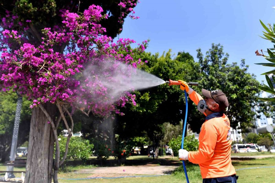 Mersin’de 160 Bin Noktada Düzenli İlaçlama Yapılıyor