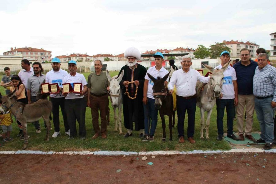 Eşekler Birinci Olmak İçin Yarıştı