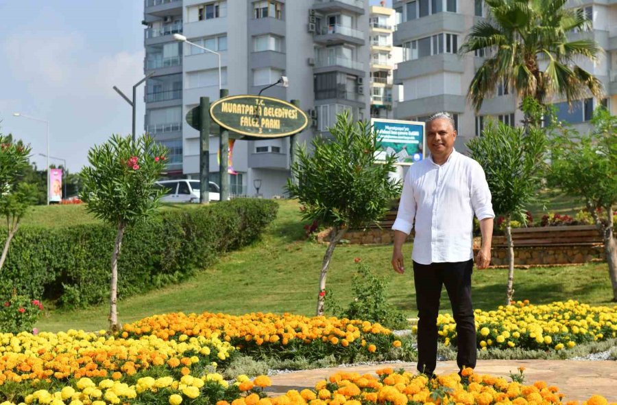 Falez 3 Park’ta Büyük Değişim