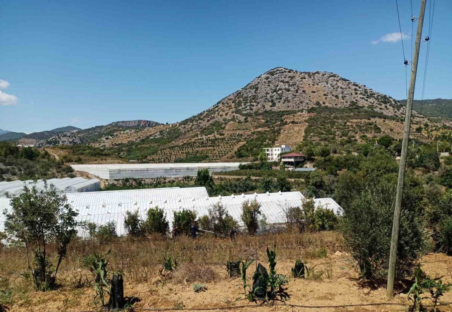 Alanya’da, Bahçe Yangınında Meyve Ağaçları Ve Sulama Sistemi Zarar Gördü