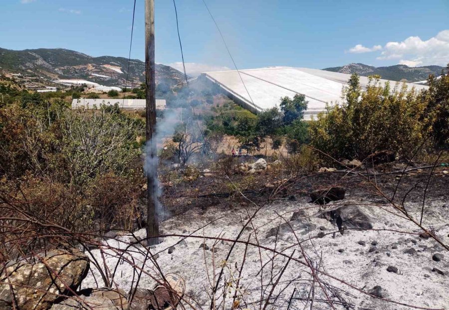 Alanya’da, Bahçe Yangınında Meyve Ağaçları Ve Sulama Sistemi Zarar Gördü