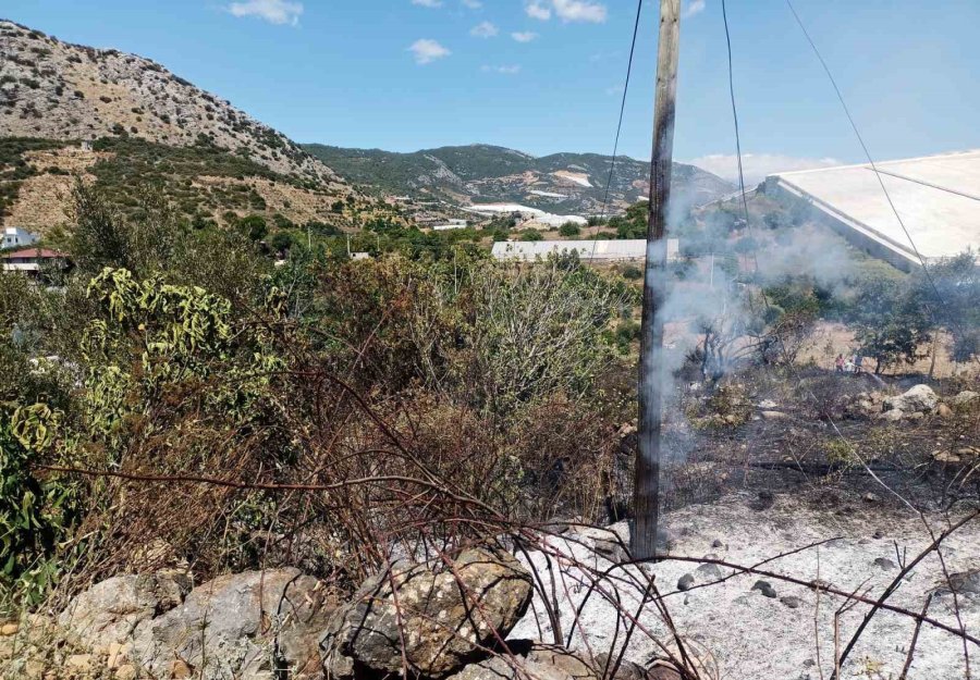 Alanya’da, Bahçe Yangınında Meyve Ağaçları Ve Sulama Sistemi Zarar Gördü