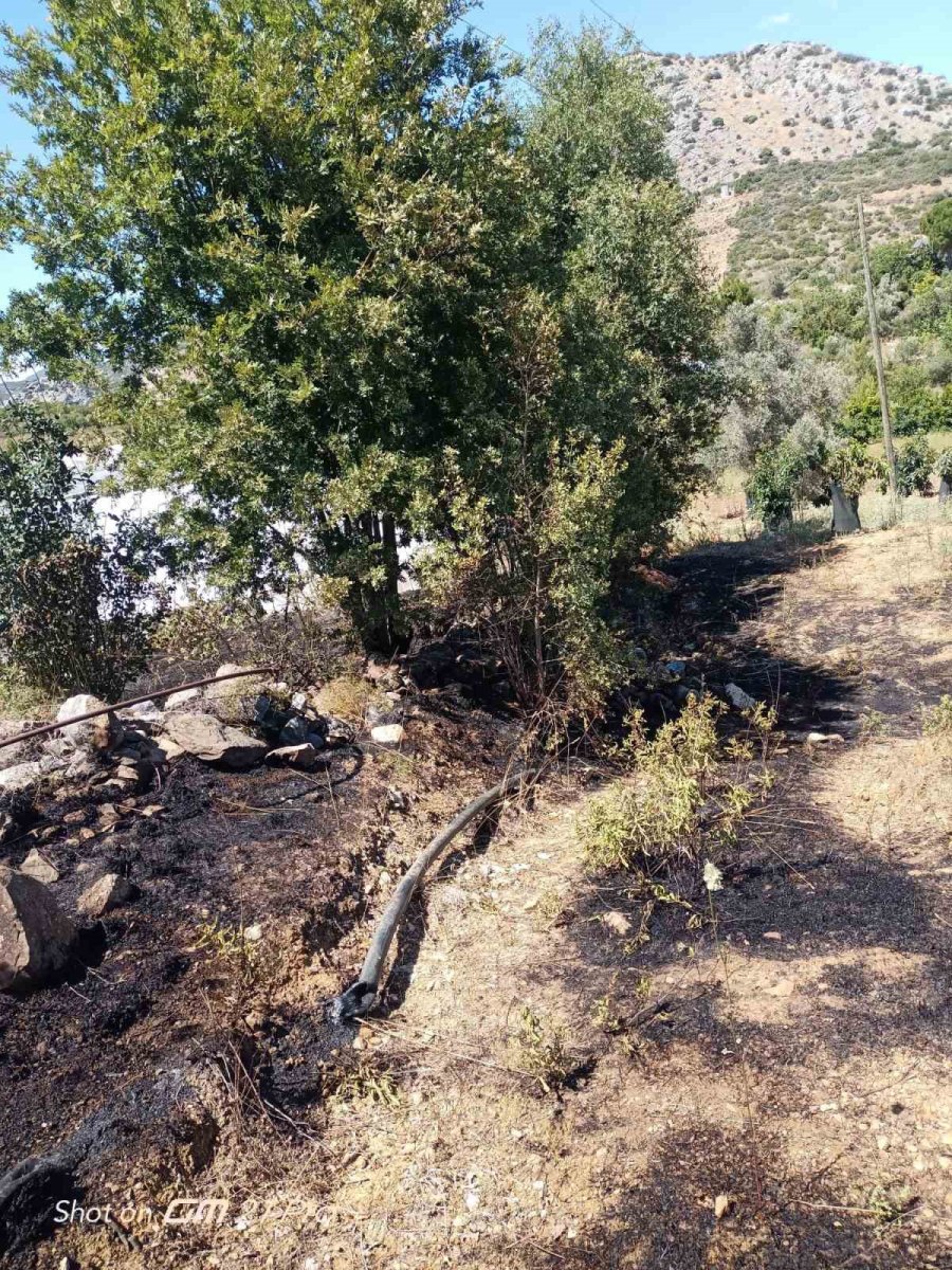 Alanya’da, Bahçe Yangınında Meyve Ağaçları Ve Sulama Sistemi Zarar Gördü