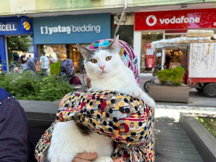 Sahibinin Kucağında Eskişehir’i Gezen Boncuk İlgi Odağı