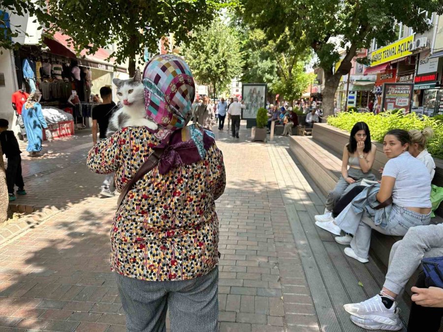 Sahibinin Kucağında Eskişehir’i Gezen Boncuk İlgi Odağı